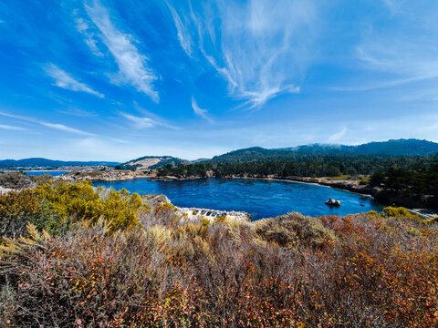 View of Point Lobos, California,