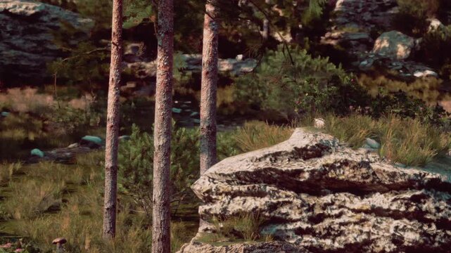 Bright sunlight illuminates large rocks and tall trees in a forest area. Grass and small plants grow around the rocks. The scene captures the beauty of natural surroundings.