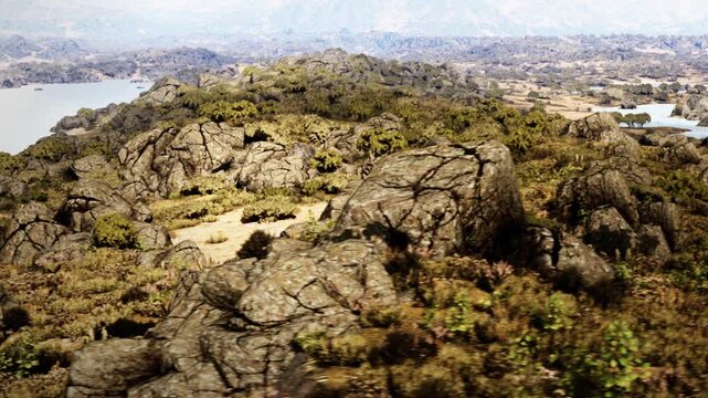 The scene shows rocky terrain with various plants scattered among the stones. Distant mountains can be seen under a clear sky. This location captures natural beauty in an open landscape.