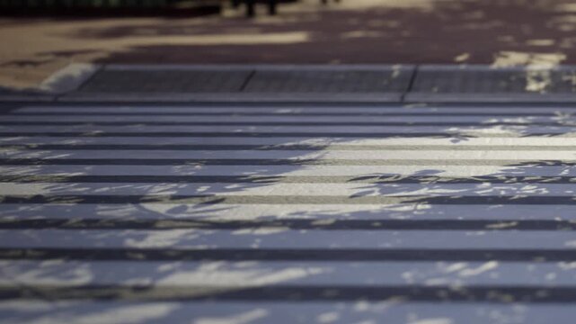 People walk across a crosswalk surrounded by trees in the city. Sunlight creates patterns on the ground. It is afternoon and the scene shows daily life in a busy urban area.
