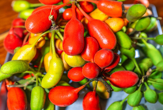 A colorful pile of Uvaria rufa fruits, both unripe and ripe.