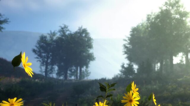 Sunflowers stand tall in the foreground while trees create a backdrop on a misty morning. The scene shows greenery and soft light filtering through.