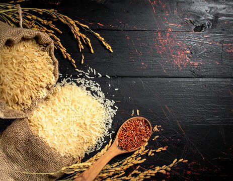 Raw stages of organic Rice  in a jute bag. Rice Bran and whole Rice on a dark wooden background. Top view.