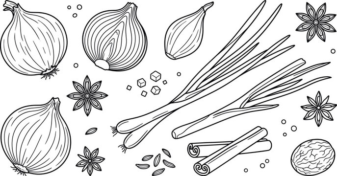 Fresh whole and sliced onion vector icon set with green spring scallions cinnamon sticks star anise nutmeg spice seeds