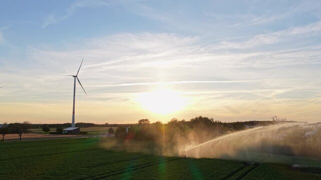 Organic harvest in farm field. Agricultural harvest. Crop cultivation. Wind turbines farm. Green energy. Sprinkler irrigation system watering field. Wind mill for renewable electric energy production