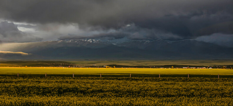 storm clouds over the field