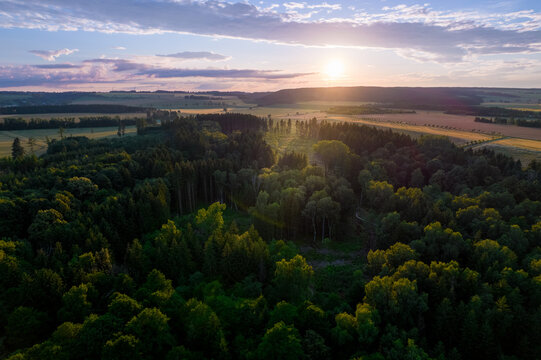 Aerial view of a dense forest landscape during the golden hour with sunlight filtering through the trees and rolling fields in the background in Czech Republic.