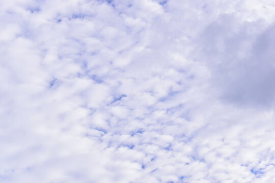beautiful blue sky with sunlight in springtime