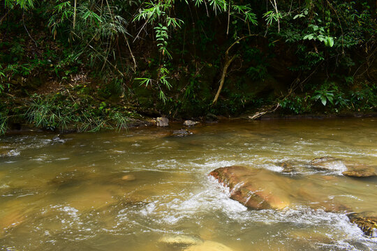 a clear shallow river stream flowing over rock in a lush tropical forest