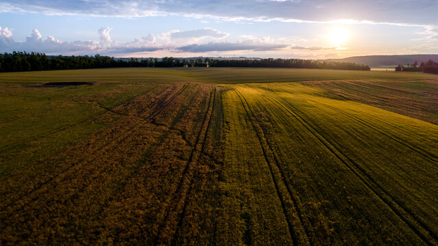 Aerial view of a vast agricultural field at sunset with golden light illuminating the crops and a line of trees in the background in CZ.