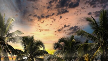 Tropical silhouettes of coconut palm trees against a vibrant sunset sky with dramatic clouds, creating a peaceful exotic landscape for summer travel themes. © Silmiart