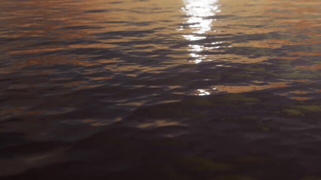 The water surface shows ripples as the sun sets. Light reflects on the water creating a shimmering effect. This scene captures the beauty of nature at dusk.