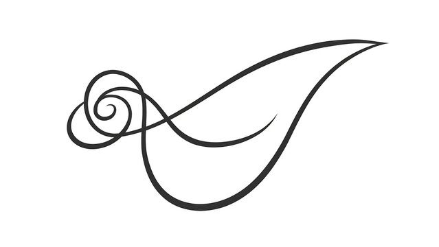 Elegant abstract swirl design on white background.