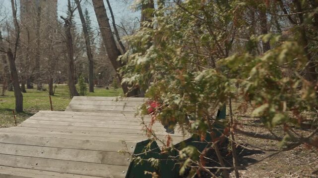 Woman reads book on wooden platform in park with trees red bag beside her. Book is open and held by woman who sits relaxed against wood planks. Sunlight creates shadows of branches