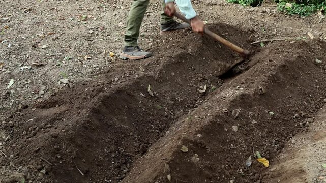Real-time close-up video of a young South Asian farmer using a traditional hand hoe to dig furrows for planting ginger during the summer season in Himachal Pradesh, India.