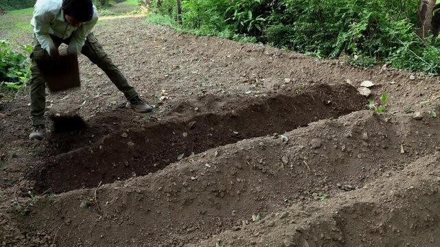 Real-time close-up video showing a young farmer digging furrows with a traditional hand hoe to prepare farmland for ginger planting during summer in Himachal Pradesh, India.