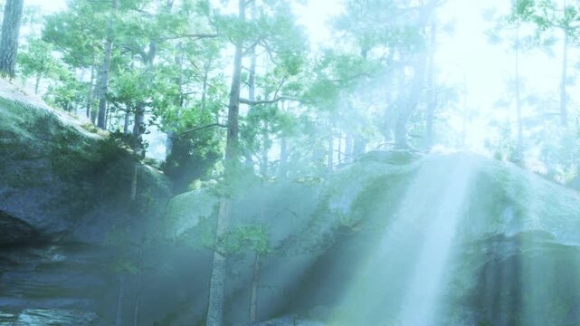 Sunlight filters through tall trees in a forest. Pine trees stand among rocks in a nature scene. Gentle rays of light create a bright atmosphere in the woods.