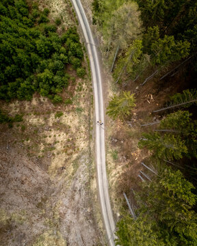 Aerial view of a narrow dirt road winding through a dense forest with patches of cleared land in CZ.