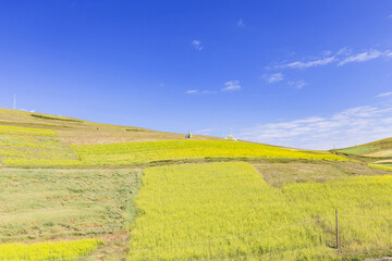 Fototapeta premium Aerial view of multi-colored crop fields on rolling hills under a clear bright blue sky with scattered clouds.