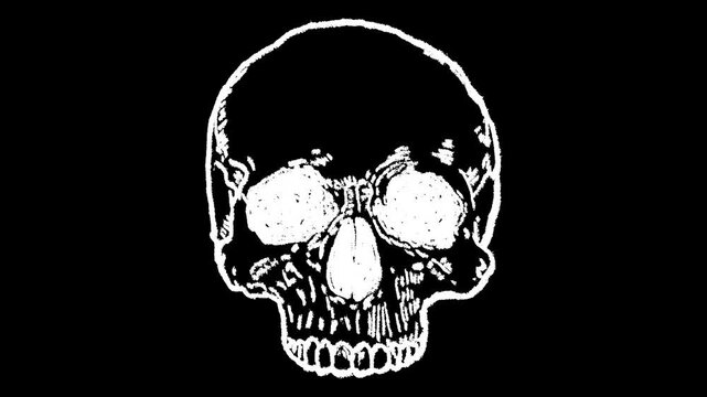 Hand-drawn white chalk human skull bone skeletal drawing on alpha 5