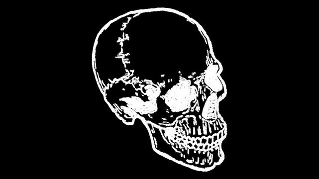 Hand-drawn white chalk human skull bone skeletal drawing on alpha 6