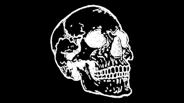 Hand-drawn white chalk human skull bone skeletal drawing on alpha 7