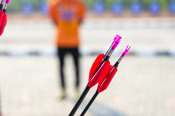 A close-up sports shot of bright pink-fletched archery arrows, with an archer standing blurred in the background on an outdoor archery range. © Rama