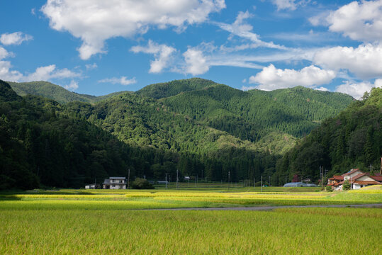 里山風景.田んぼ」の写真素材 | 15,532件の無料イラスト画像 | Adobe Stock