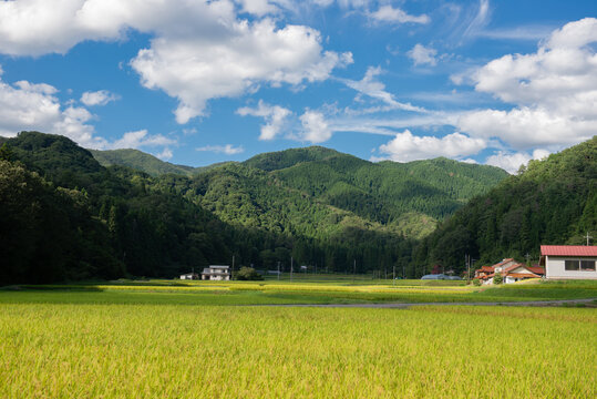 里山風景」の写真素材 | 41,963件の無料イラスト画像 | Adobe Stock