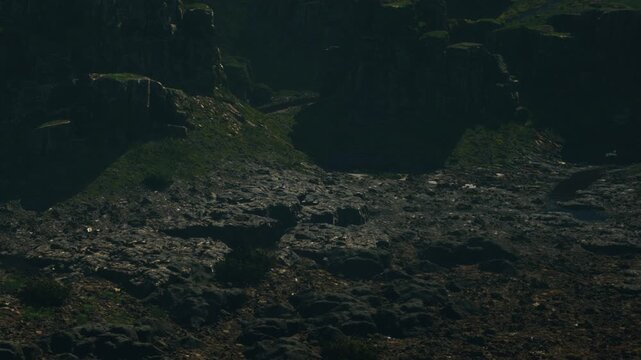 The scene shows a rocky landscape with mountains in the background. The ground is uneven and covered in stones and grass. It is daytime and the sky is clear.