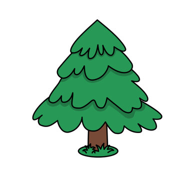  Cartoon Pine Tree