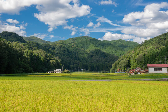 里山風景」の写真素材 | 41,219件の無料イラスト画像 | Adobe Stock