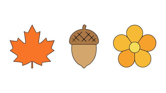 An orange maple leaf brown acorn and yellow flower are depicted in a flat vector illustration acorn autumn