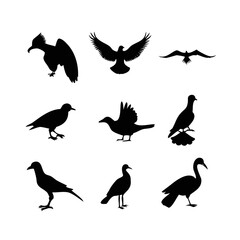 Obraz premium A group of various bird silhouettes including flying and perched birds on a plain white... wings des