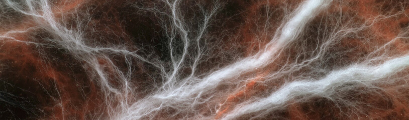 Fototapeta premium Abstract Organic Texture: A mesmerizing abstract composition resembling organic patterns, with intricate networks of white and rust-colored fibers creating a sense of depth and movement.