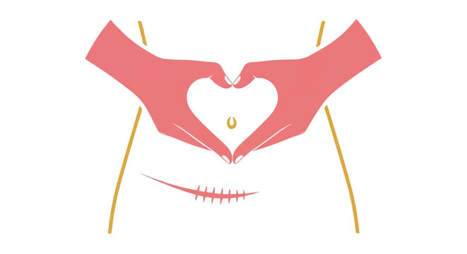 A symbolic representation of hands forming a heart shape over a lower abdomen with a thin clean line representing a C-section scar, rose and gold palette. minimalist flat vector artwork, clipart