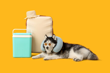 Pet travel and vacation concept, husky dog with neck pillow and sunglasses next to luggage and cooler on yellow background © Pixel-Shot