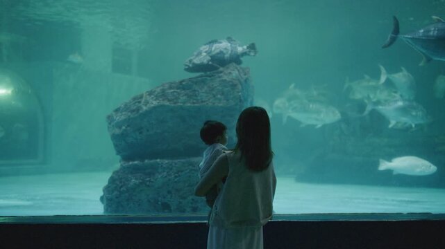 Asian mother holding her baby boy, watching big fish swimming in a giant aquarium tank.	
