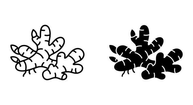 Ginger Root Icons, Spice Ingredient Vector Art, Healthy Food Graphic Elements