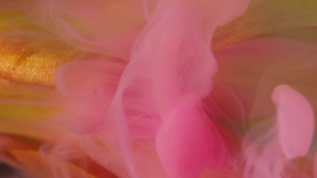 Vertical video. Steam flower. Paint wave. Defocused yellow color plant tulip nature pink vapor fog water floating on abstract creative background.