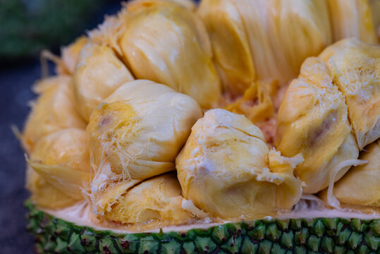 Fresh ripe Cempedak fruit halves with yellow flesh