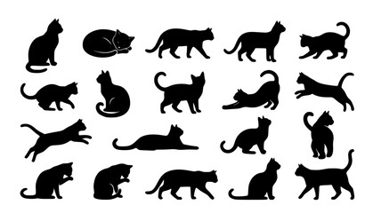 Obraz premium Set of Black Cat Silhouettes in Elegant Sitting Walking Jumping and Stretching Poses Isolated on White Background Vector Collection