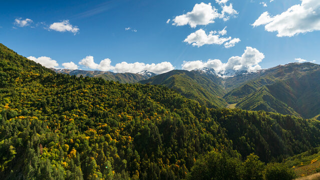 Scenic mountain landscape near Iprali in Svaneti, Georgia, with autumn forest, snow-capped Caucasus Mountains and a clear blue sky.