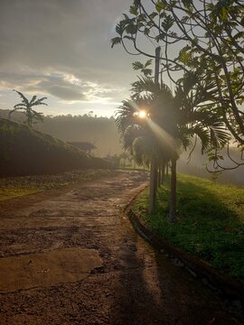 Matahari di pagi hari