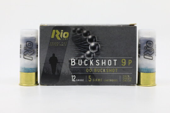 Buckshot type bullet cartridges for shotgun hunting
