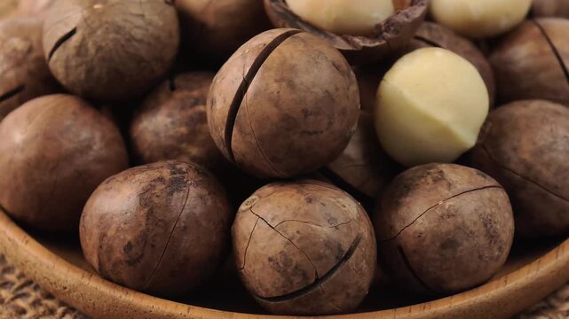 Rotating roasted macadamia nuts