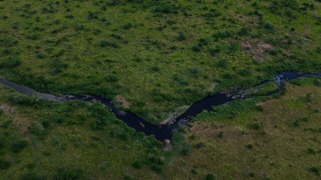 Mara Region, Tanzania - 23 August 2026: Aerial view of a winding river flowing through the lush green savanna landscape.
