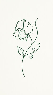 Minimalist single line art drawing of a sweet pea flower with stem and leaves