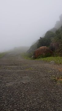 Misty Mountain Road in Thick Fog and Strong Wind Among Beautiful Sri Lankan Mountains, Vertical 4K Nature Video
