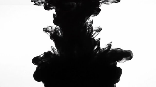 Abstract black ink swirling in clear water with white background artistic fluid motion